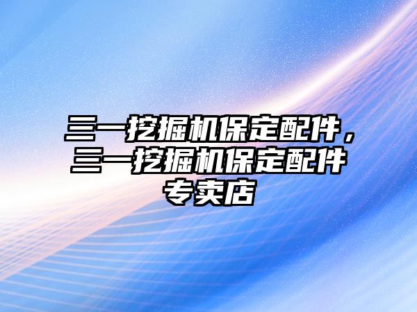 三一挖掘機保定配件，三一挖掘機保定配件專賣店