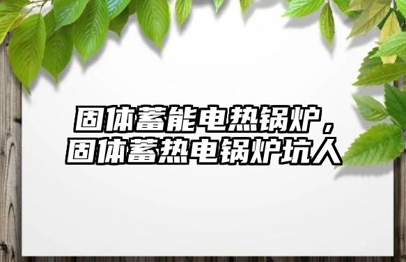 固體蓄能電熱鍋爐，固體蓄熱電鍋爐坑人