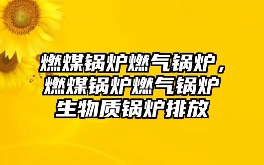 燃煤鍋爐燃?xì)忮仩t，燃煤鍋爐燃?xì)忮仩t生物質(zhì)鍋爐排放