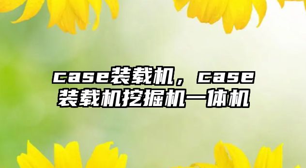 case裝載機，case裝載機挖掘機一體機