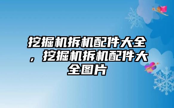 挖掘機拆機配件大全，挖掘機拆機配件大全圖片