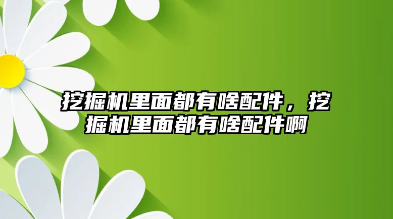 挖掘機里面都有啥配件，挖掘機里面都有啥配件啊