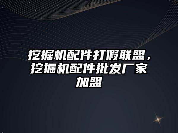 挖掘機配件打假聯(lián)盟，挖掘機配件批發(fā)廠家加盟