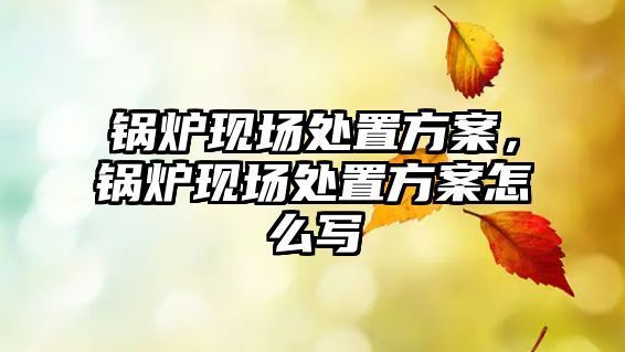 鍋爐現場處置方案，鍋爐現場處置方案怎么寫