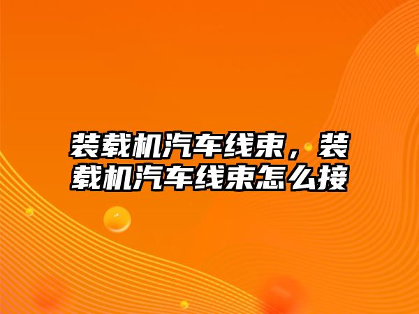 裝載機汽車線束，裝載機汽車線束怎么接