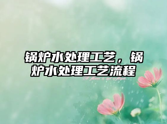 鍋爐水處理工藝，鍋爐水處理工藝流程