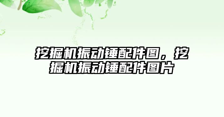 挖掘機振動錘配件圖，挖掘機振動錘配件圖片