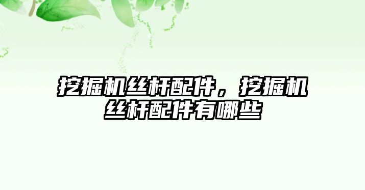 挖掘機絲桿配件，挖掘機絲桿配件有哪些