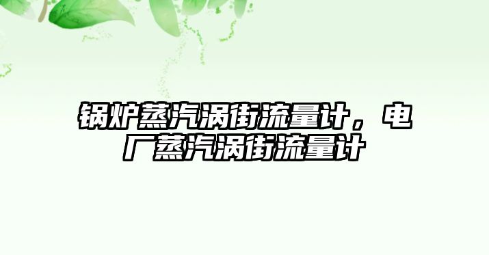 鍋爐蒸汽渦街流量計，電廠蒸汽渦街流量計