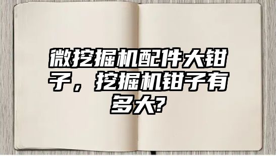 微挖掘機配件大鉗子，挖掘機鉗子有多大?