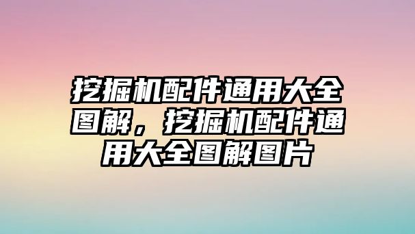 挖掘機配件通用大全圖解，挖掘機配件通用大全圖解圖片