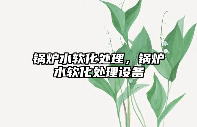 鍋爐水軟化處理，鍋爐水軟化處理設備