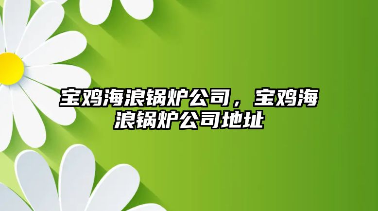 寶雞海浪鍋爐公司，寶雞海浪鍋爐公司地址