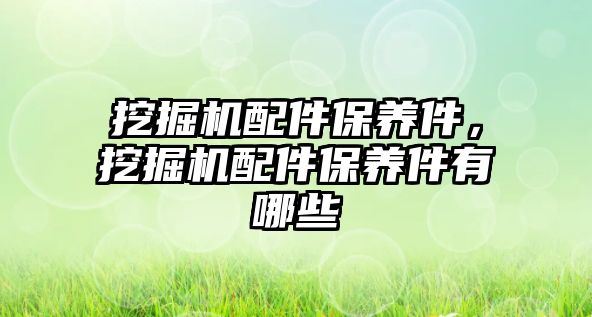 挖掘機配件保養(yǎng)件，挖掘機配件保養(yǎng)件有哪些