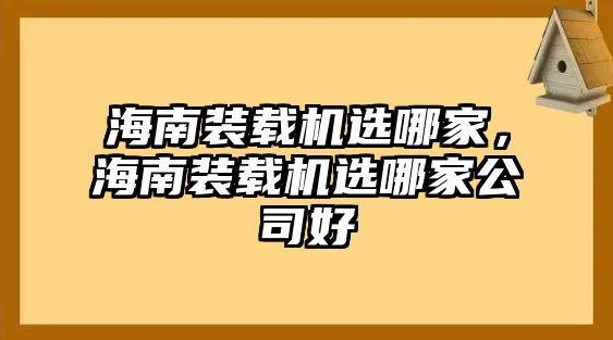 海南裝載機(jī)選哪家，海南裝載機(jī)選哪家公司好