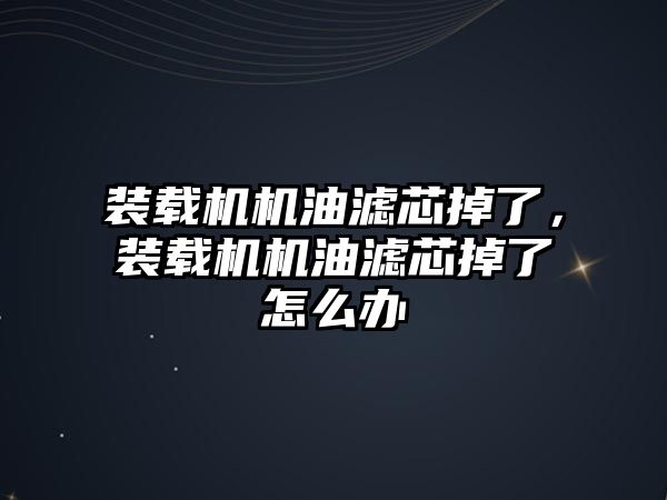 裝載機機油濾芯掉了，裝載機機油濾芯掉了怎么辦