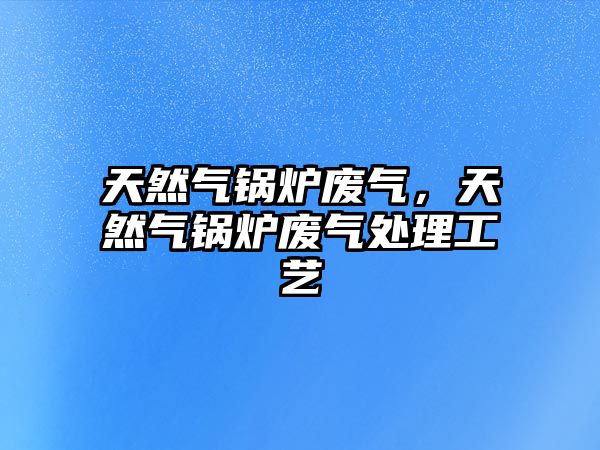 天然氣鍋爐廢氣，天然氣鍋爐廢氣處理工藝