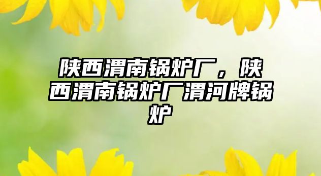 陜西渭南鍋爐廠，陜西渭南鍋爐廠渭河牌鍋爐