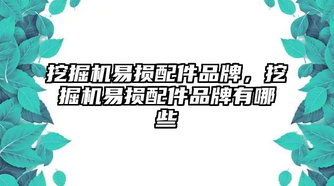 挖掘機(jī)易損配件品牌，挖掘機(jī)易損配件品牌有哪些