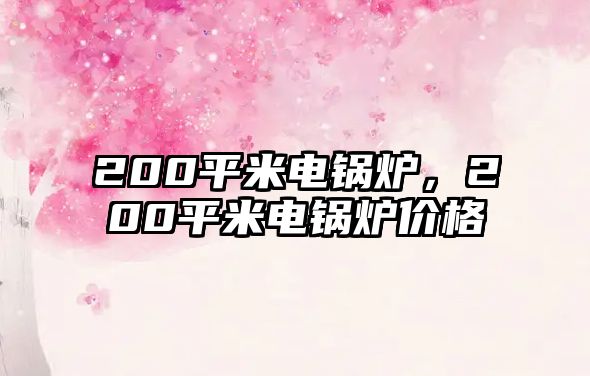 200平米電鍋爐，200平米電鍋爐價(jià)格