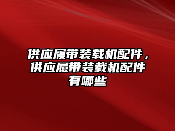 供應履帶裝載機配件，供應履帶裝載機配件有哪些