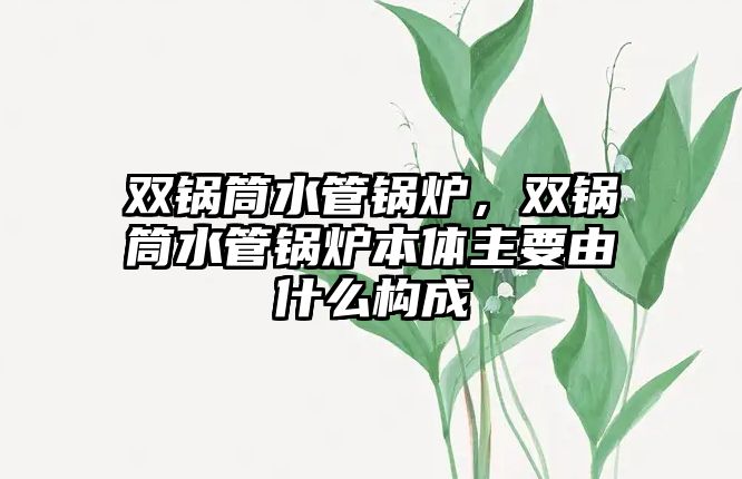 雙鍋筒水管鍋爐，雙鍋筒水管鍋爐本體主要由什么構成