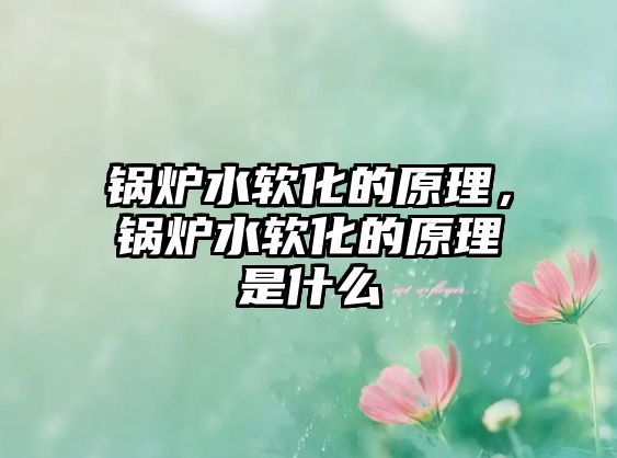 鍋爐水軟化的原理，鍋爐水軟化的原理是什么