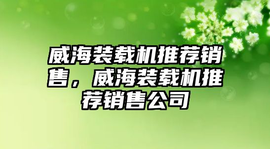 威海裝載機推薦銷售，威海裝載機推薦銷售公司