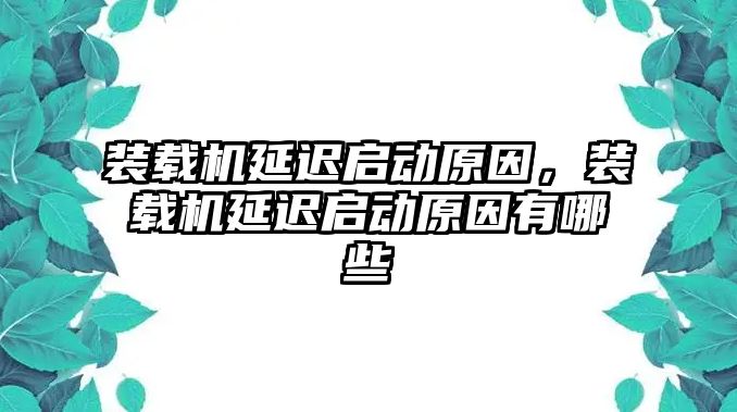 裝載機延遲啟動原因，裝載機延遲啟動原因有哪些