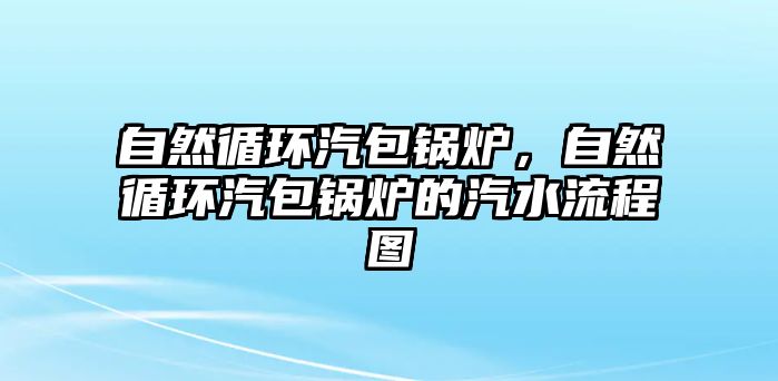 自然循環汽包鍋爐，自然循環汽包鍋爐的汽水流程圖