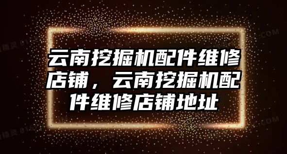 云南挖掘機配件維修店鋪，云南挖掘機配件維修店鋪地址