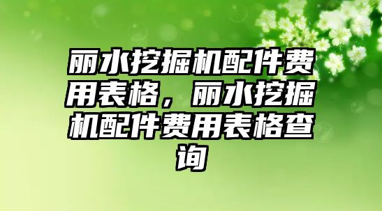 麗水挖掘機配件費用表格，麗水挖掘機配件費用表格查詢