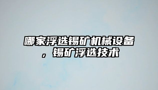 哪家浮選錫礦機械設備，錫礦浮選技術