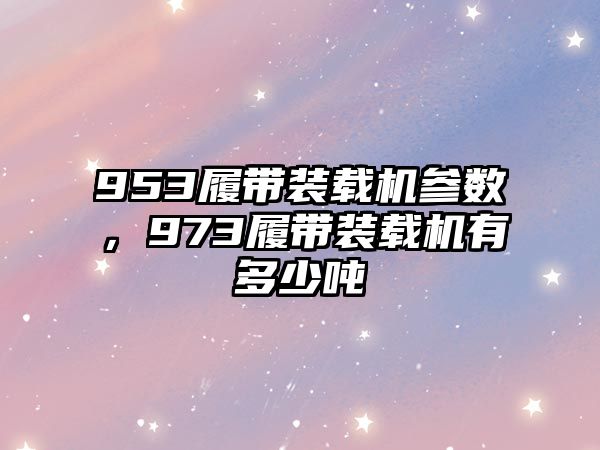 953履帶裝載機參數，973履帶裝載機有多少噸