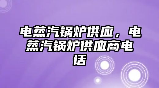 電蒸汽鍋爐供應，電蒸汽鍋爐供應商電話