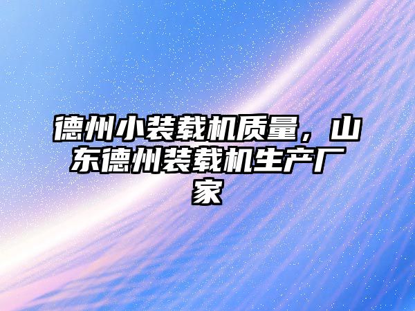 德州小裝載機質量，山東德州裝載機生產廠家