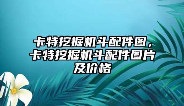 卡特挖掘機斗配件圖，卡特挖掘機斗配件圖片及價格