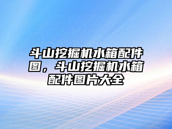 斗山挖掘機水箱配件圖，斗山挖掘機水箱配件圖片大全