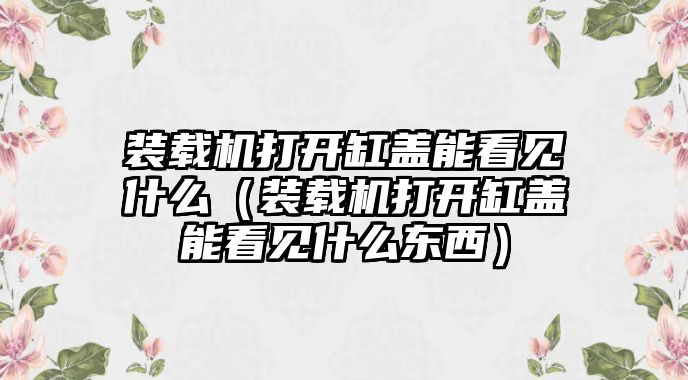 裝載機打開缸蓋能看見什么（裝載機打開缸蓋能看見什么東西）