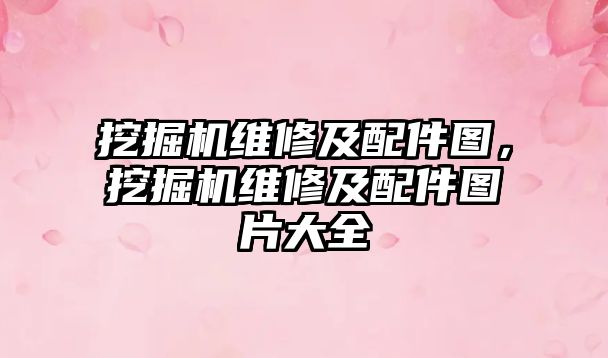 挖掘機維修及配件圖，挖掘機維修及配件圖片大全