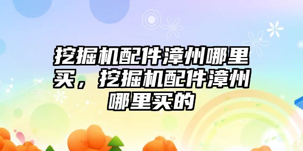 挖掘機配件漳州哪里買，挖掘機配件漳州哪里買的