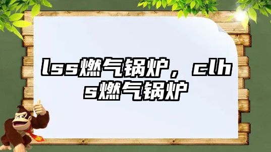 lss燃?xì)忮仩t，clhs燃?xì)忮仩t