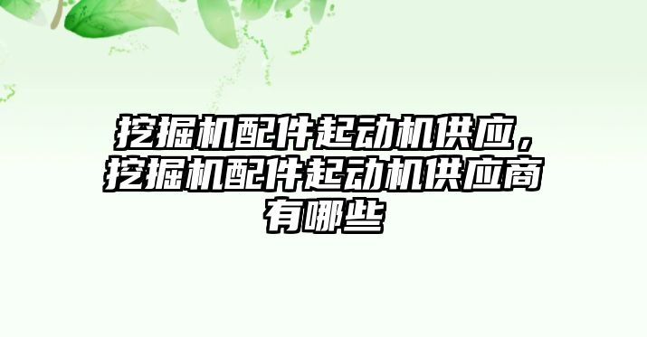 挖掘機配件起動機供應，挖掘機配件起動機供應商有哪些