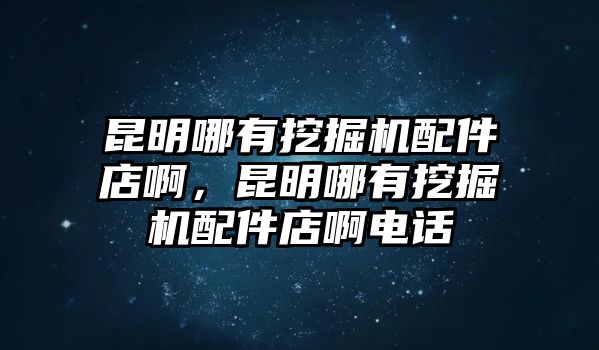 昆明哪有挖掘機(jī)配件店啊，昆明哪有挖掘機(jī)配件店啊電話