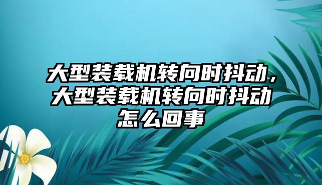 大型裝載機轉向時抖動，大型裝載機轉向時抖動怎么回事