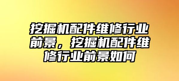 挖掘機配件維修行業前景，挖掘機配件維修行業前景如何