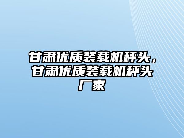 甘肅優質裝載機秤頭，甘肅優質裝載機秤頭廠家