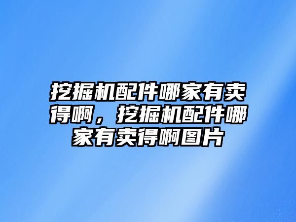 挖掘機配件哪家有賣得啊，挖掘機配件哪家有賣得啊圖片