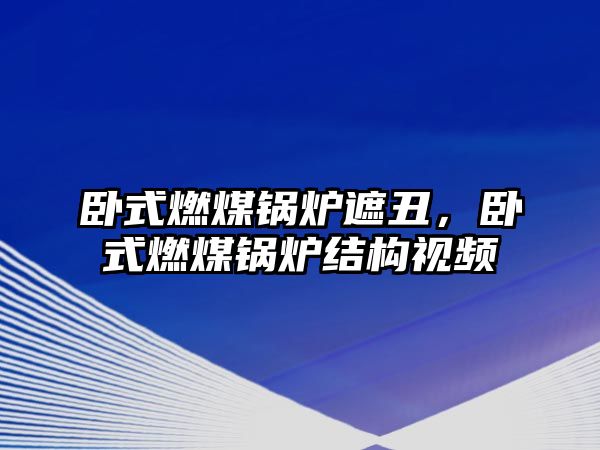 臥式燃煤鍋爐遮丑，臥式燃煤鍋爐結(jié)構(gòu)視頻