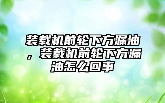 裝載機(jī)前輪下方漏油，裝載機(jī)前輪下方漏油怎么回事